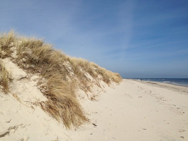 Malarhusens strand景点图片