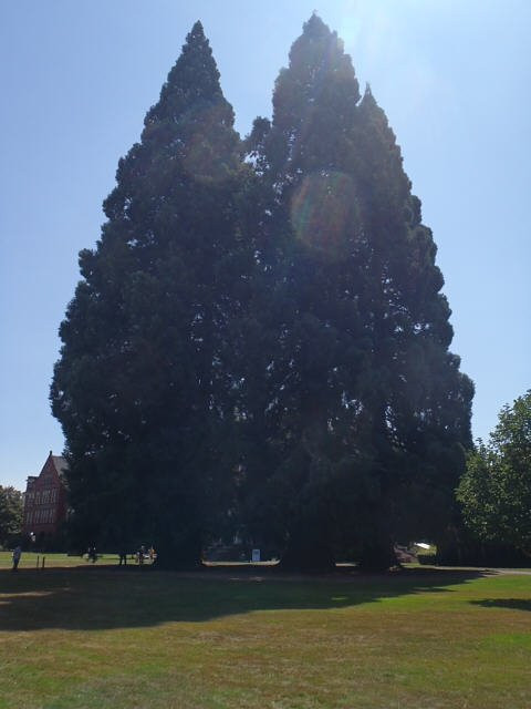 Willamette University-塞勒姆必去景点