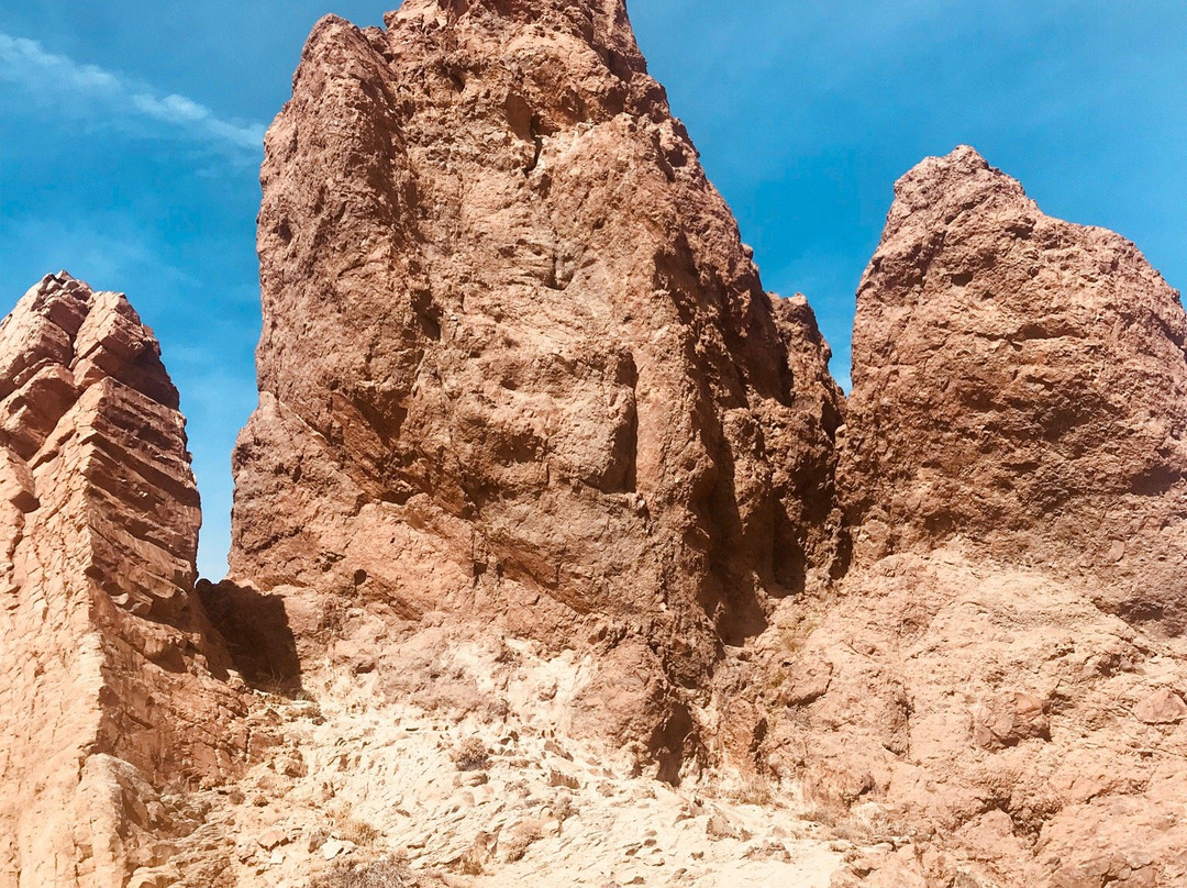 Excursiones Tenerife-圣克鲁斯-德特内里费必去景点