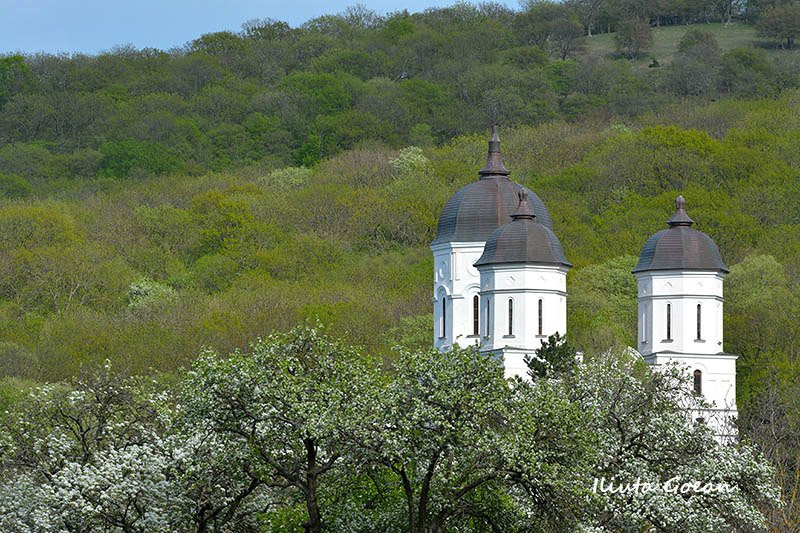 Celic Dere Monastery景点图片