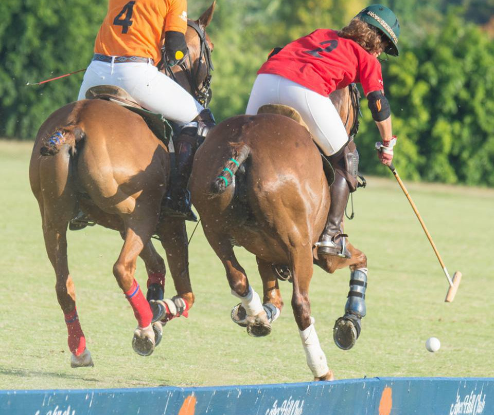 Apes Hill Polo Club景点图片