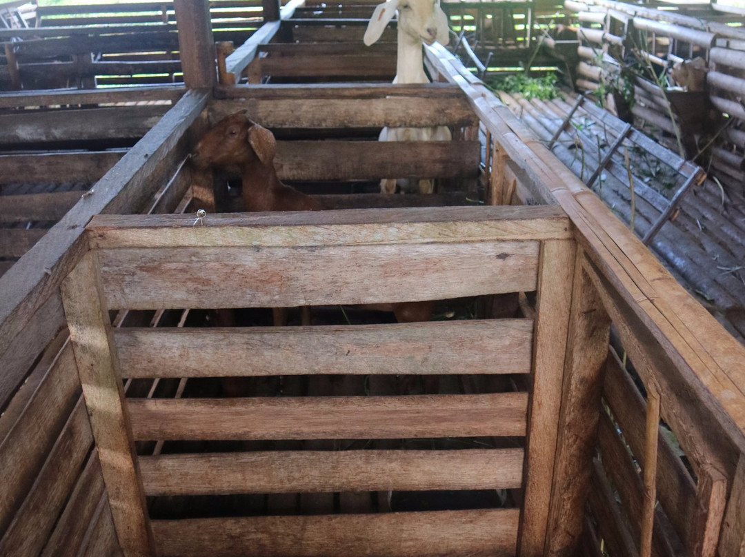 Maribojoc Organic Demonstration Farm-Maribojoc必去景点