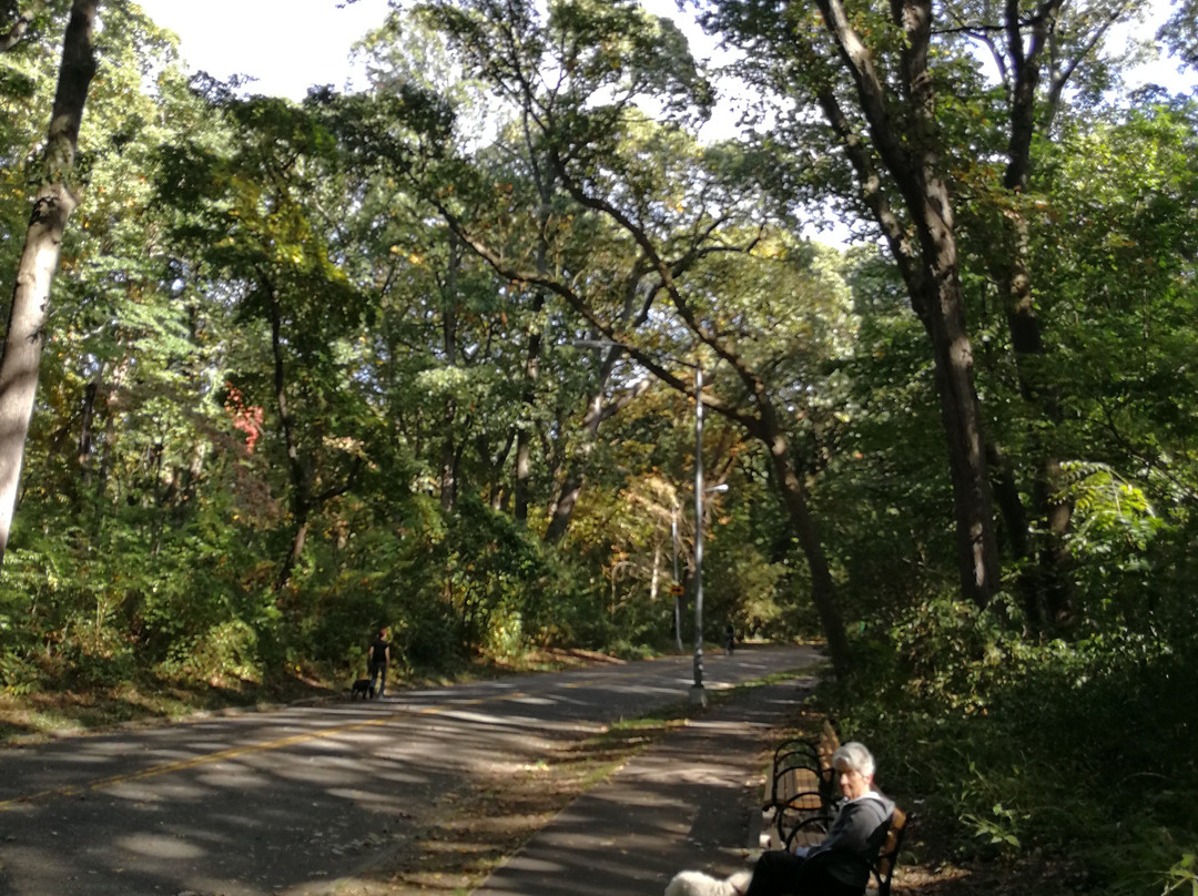 Forest Park-Woodhaven必去景点