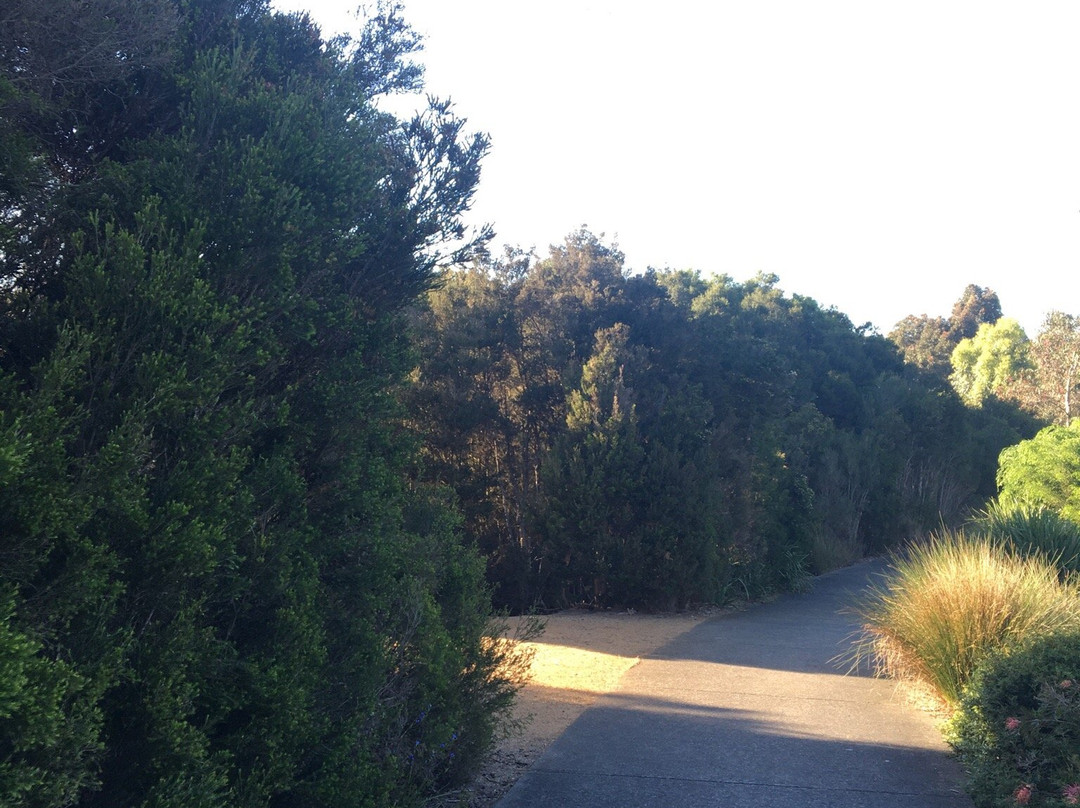 Hidden Grove Reserve-Keysborough必去景点