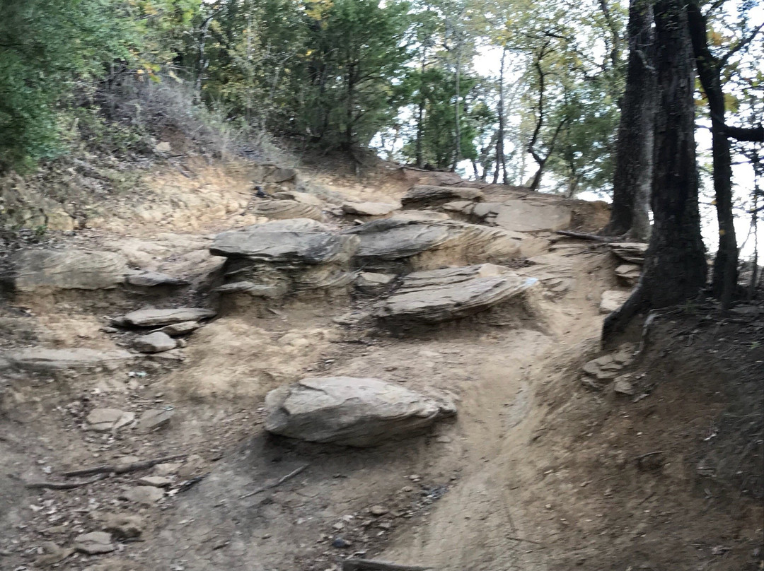 Rockledge Park-葡萄藤必去景点
