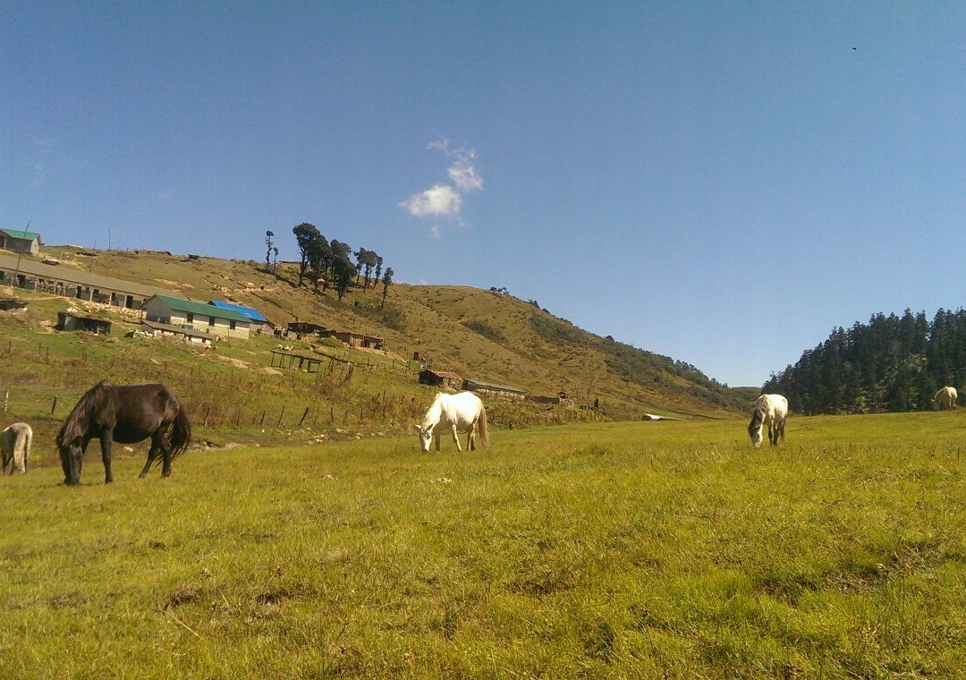 Khaptad National Park-Seti Zone必去景点