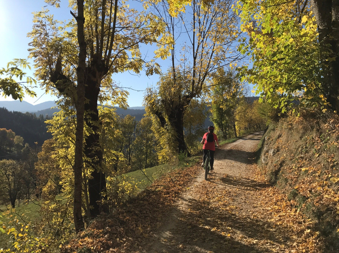 Green E-Bike Country-Saint-Nizier-du-Moucherotte必去景点