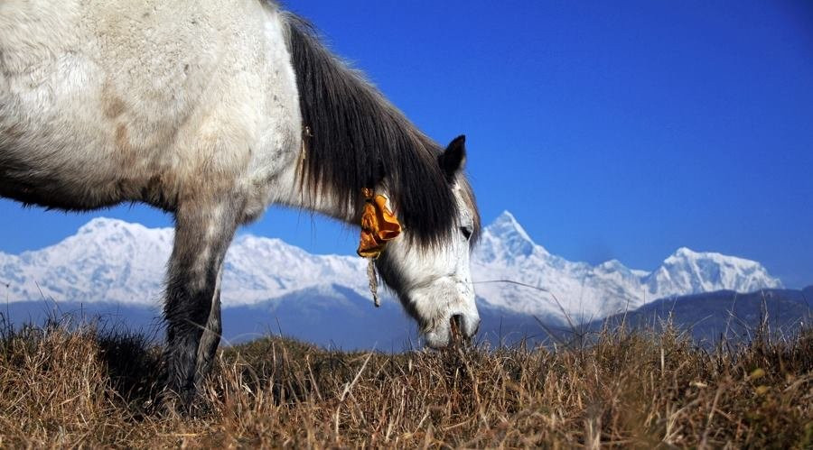 Khumbu Nangpala Trekking and Expedition-加德满都必去景点