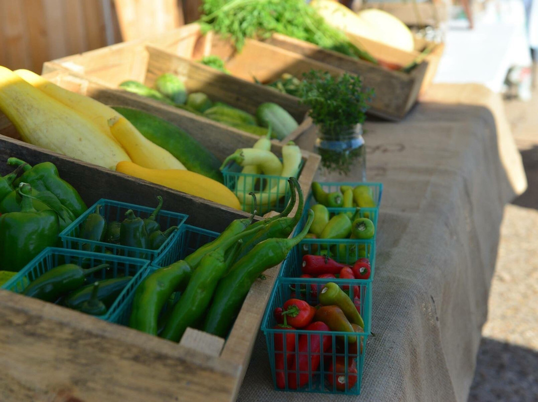 The Purpose Market-Dalhart必去景点