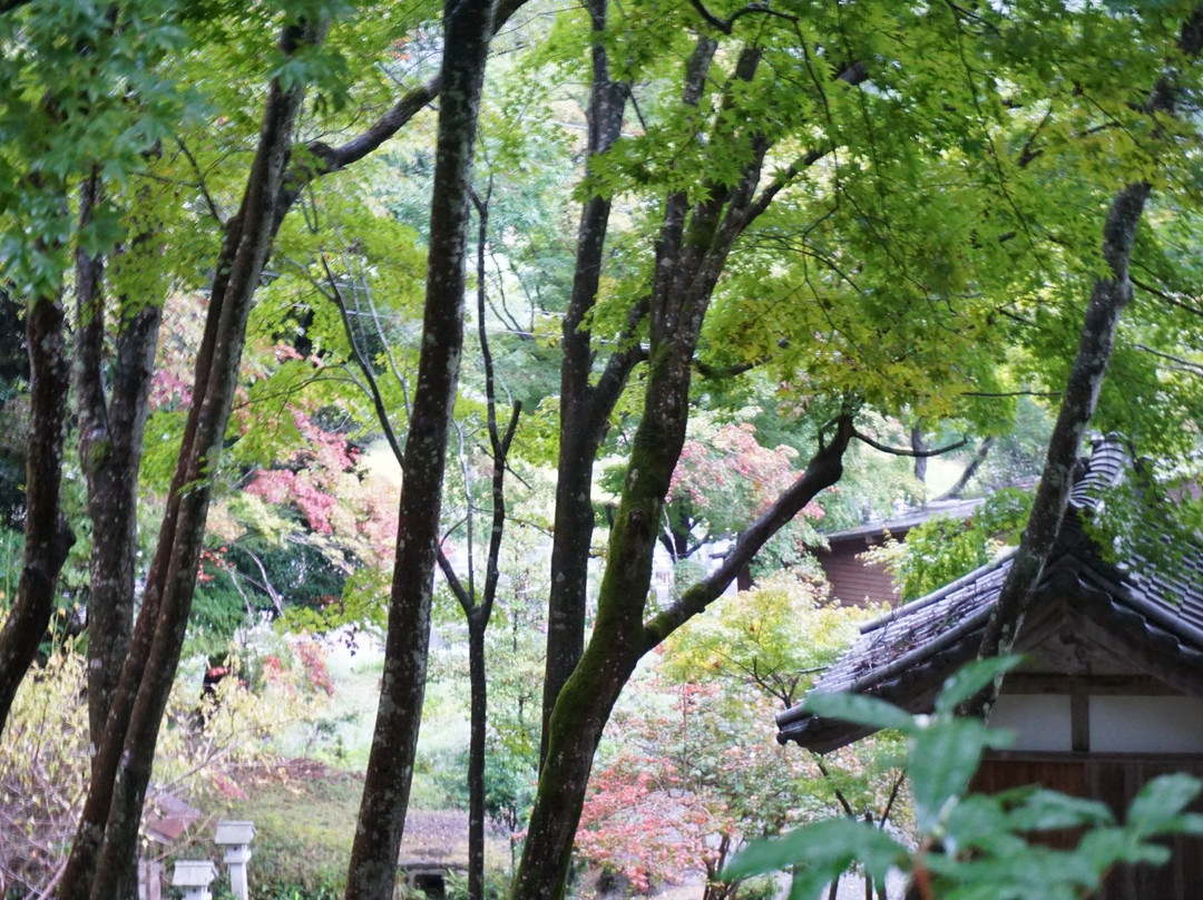 Saiko-ji Temple-南丹市必去景点