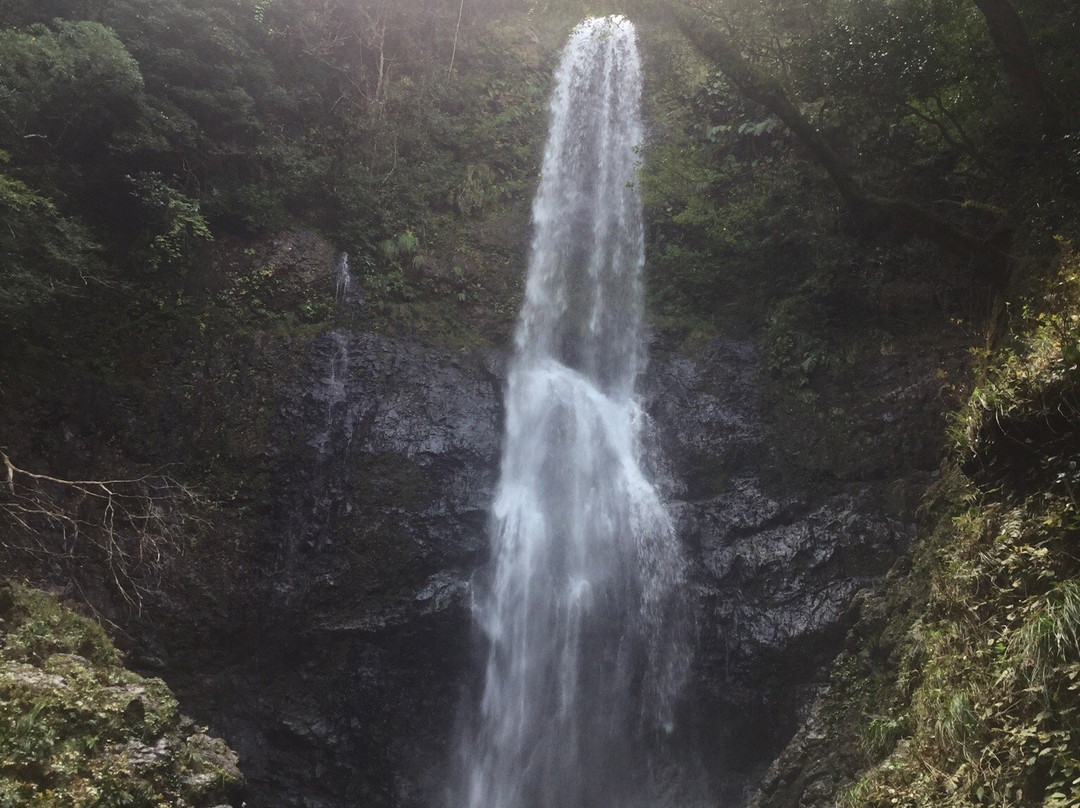Oseri Falls景点图片