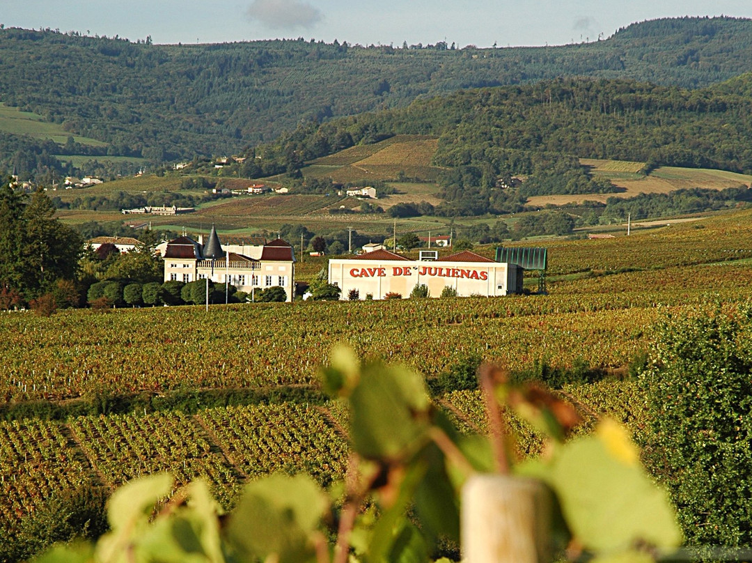 Cave de Julienas (Julienas Chaintre Vignerons Associes)景点图片