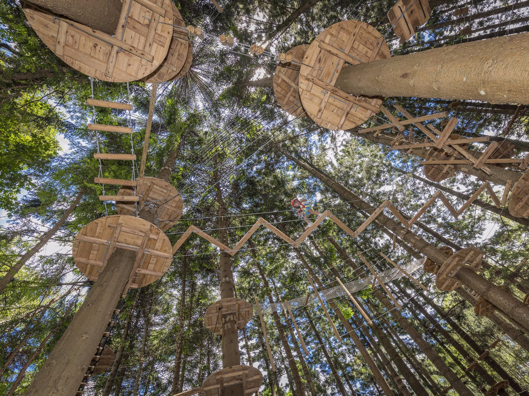 Treetops Adventure The Hills景点图片