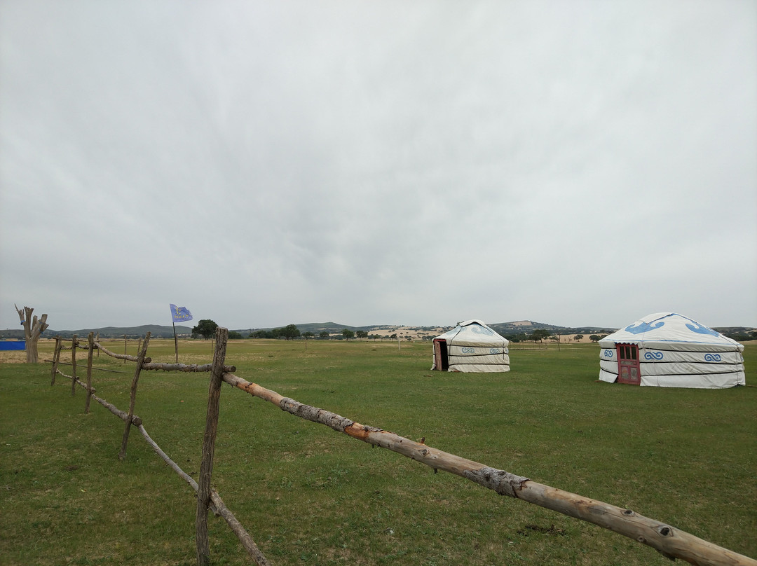 金莲川草原-正蓝旗必去景点