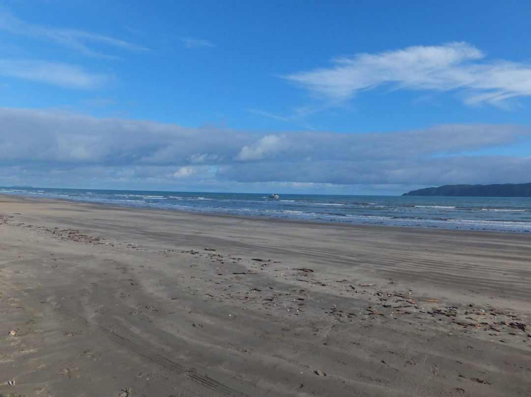 Paraparaumu Beach景点图片