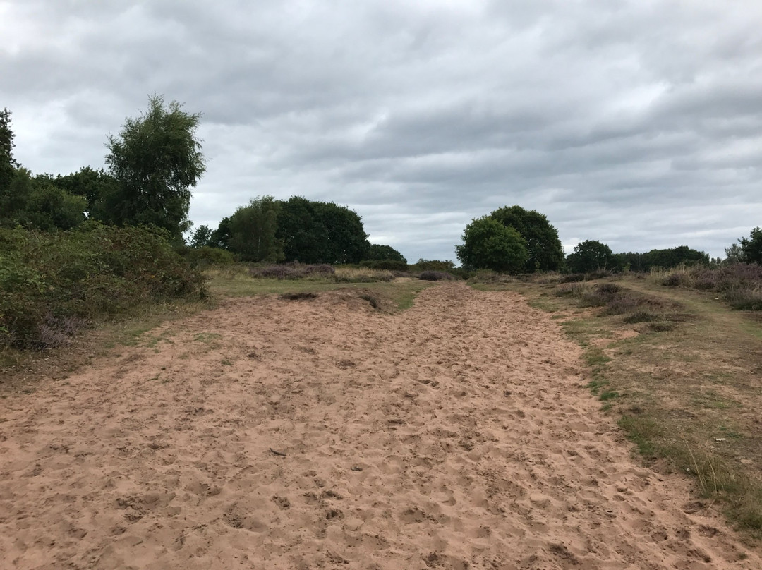 Hartlebury Common景点图片