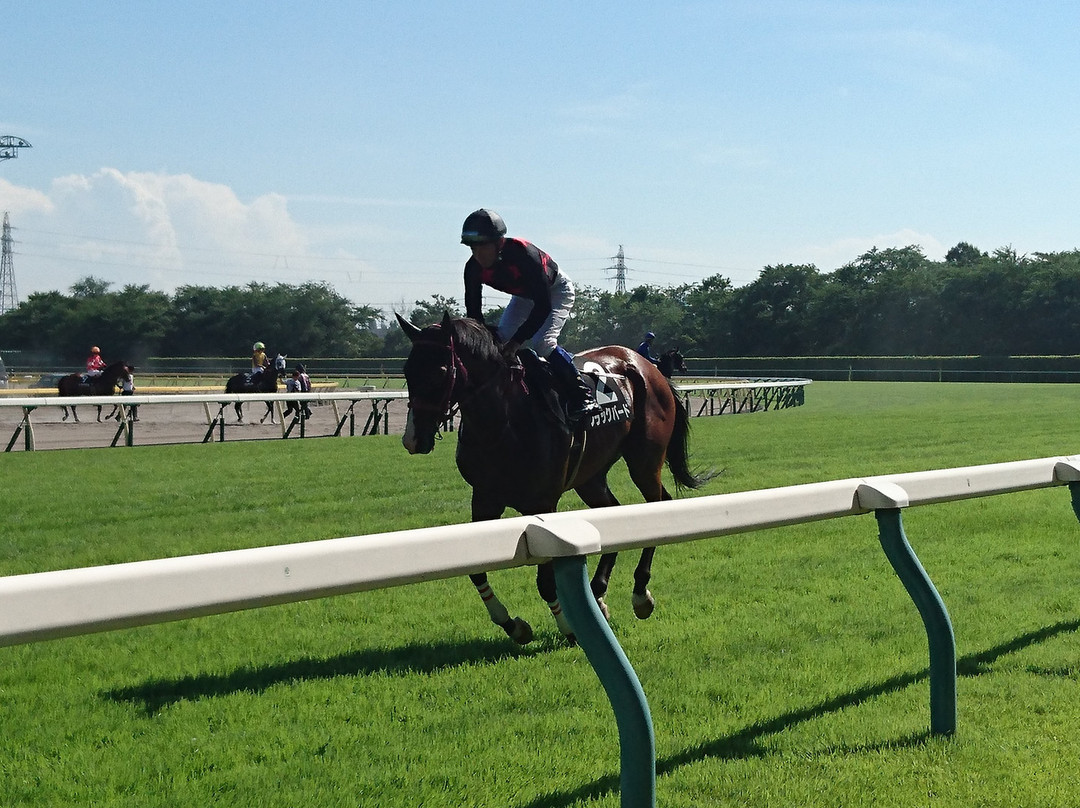 Niigata Horse Racetrack景点图片