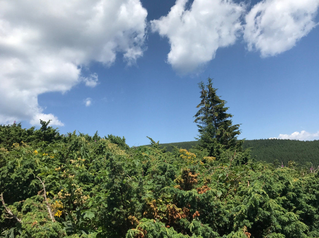 Yaremche旅游景点-Carpathian National Nature Park