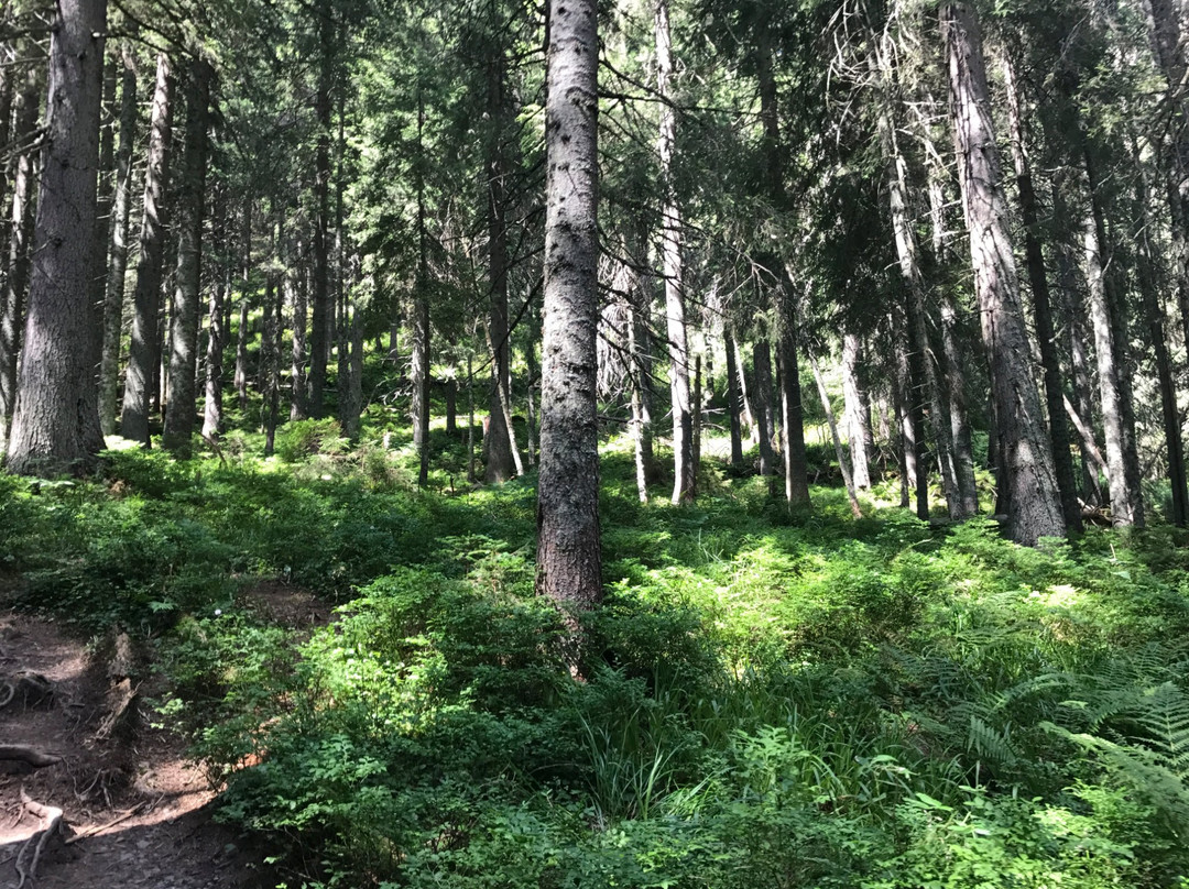 Carpathian National Nature Park-Yaremche必去景点