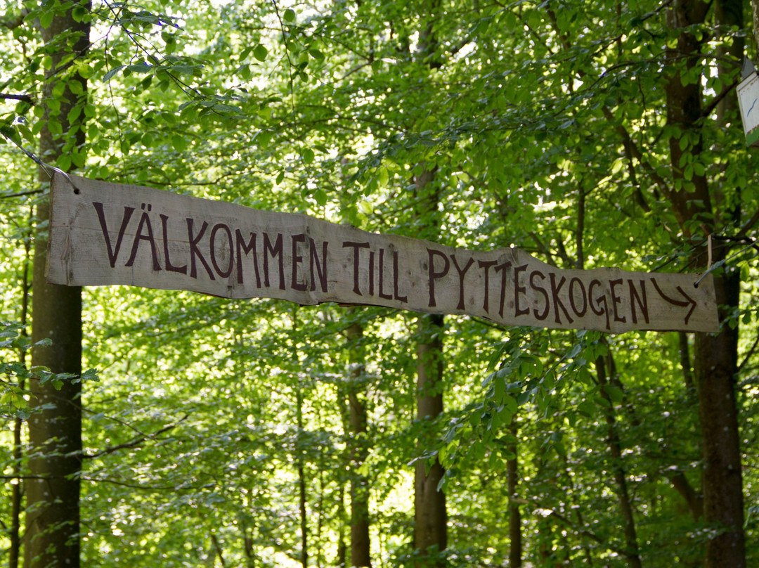 Pytteskogen景点图片
