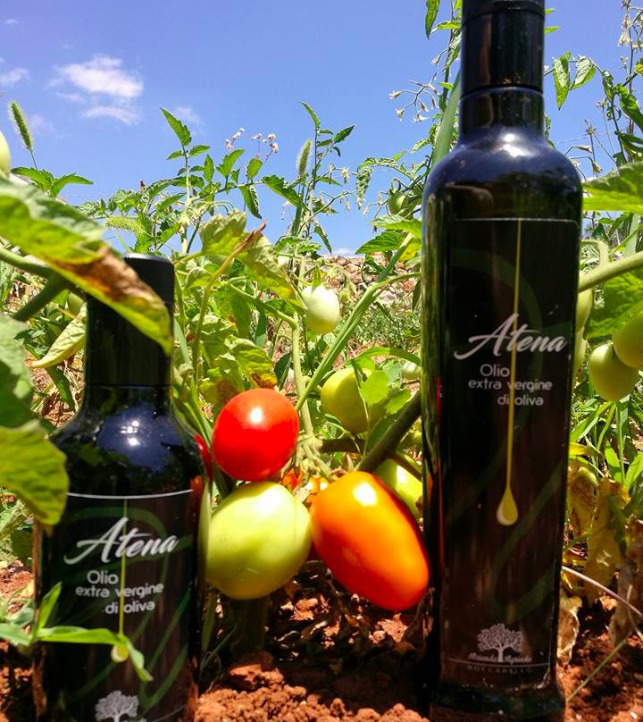 Azienda Agricola Boccarello - Olio del Salento景点图片