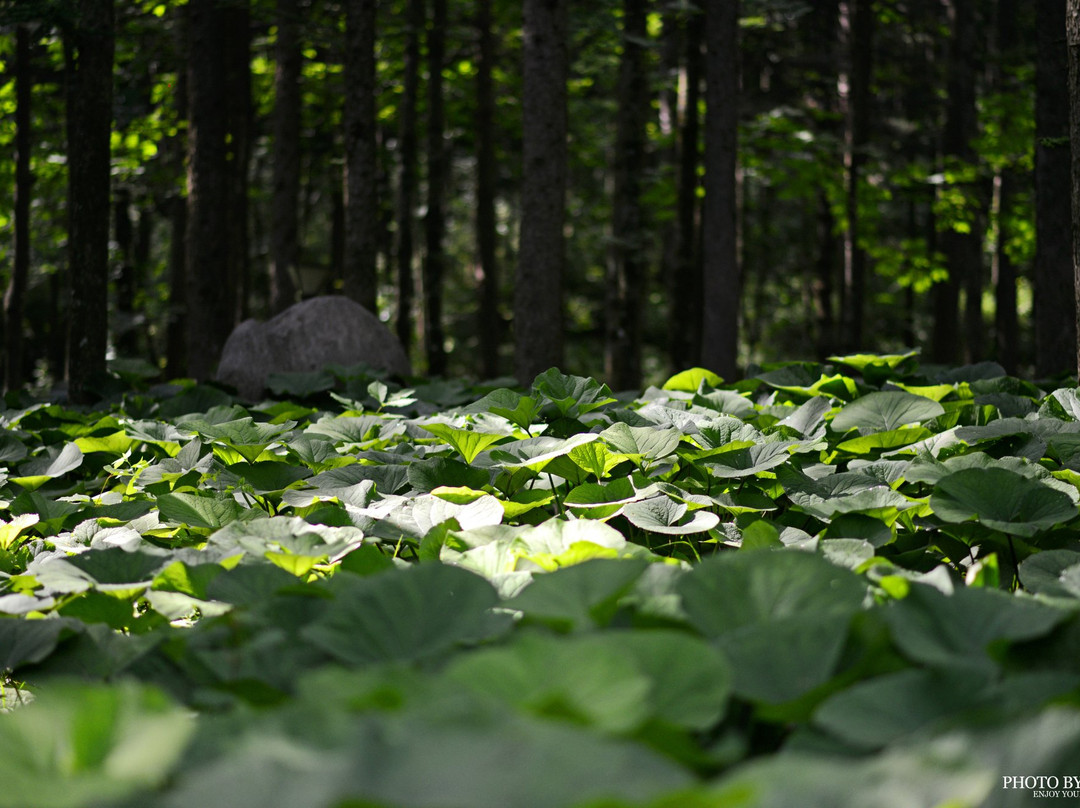 白云山-洛阳市必去景点