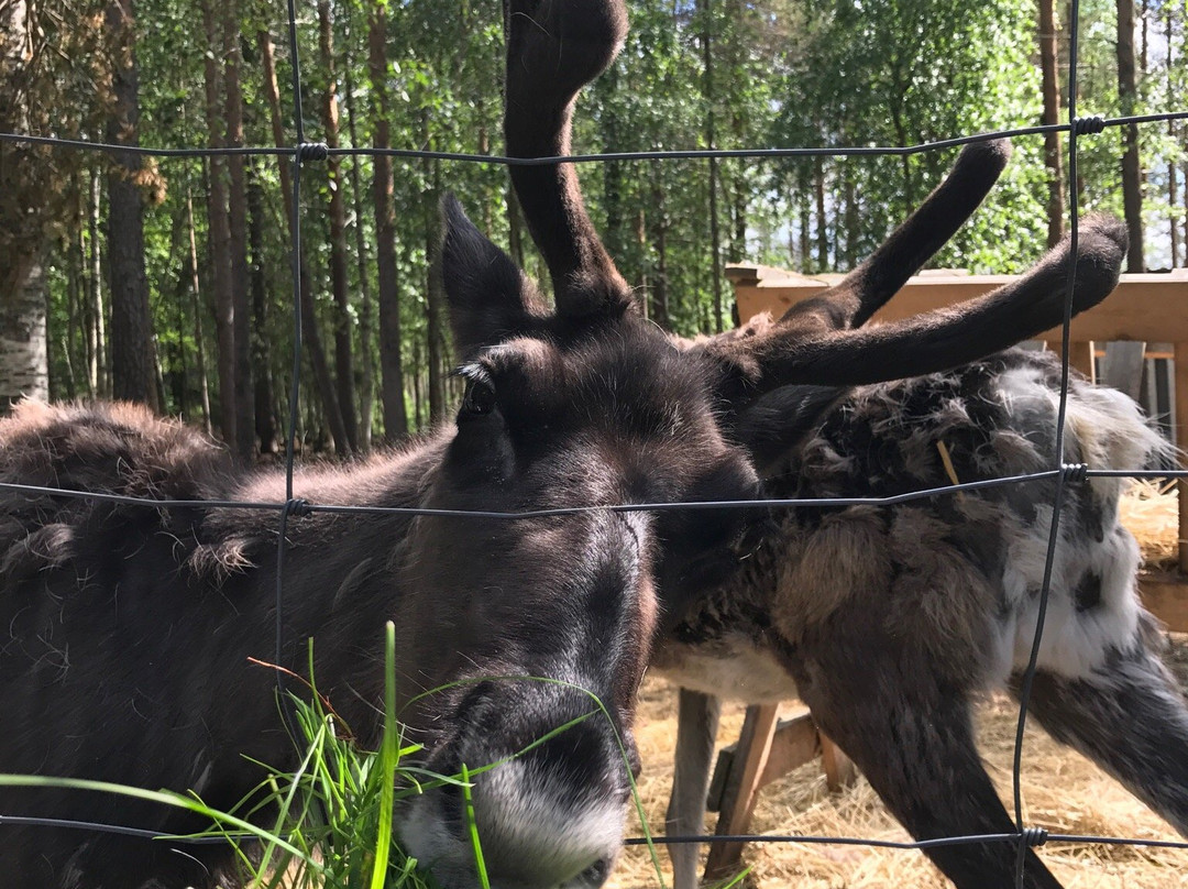 Escurial Animal and Flower Park景点图片