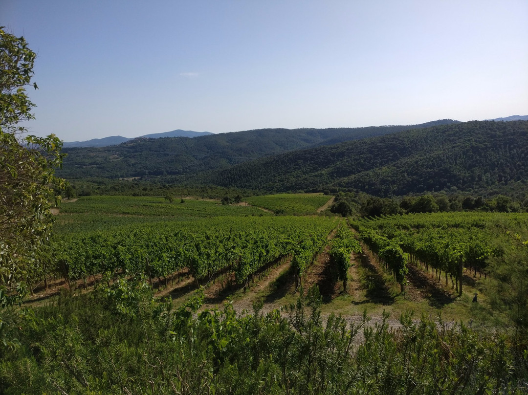 Tenuta L'Impostino-Civitella Paganico必去景点