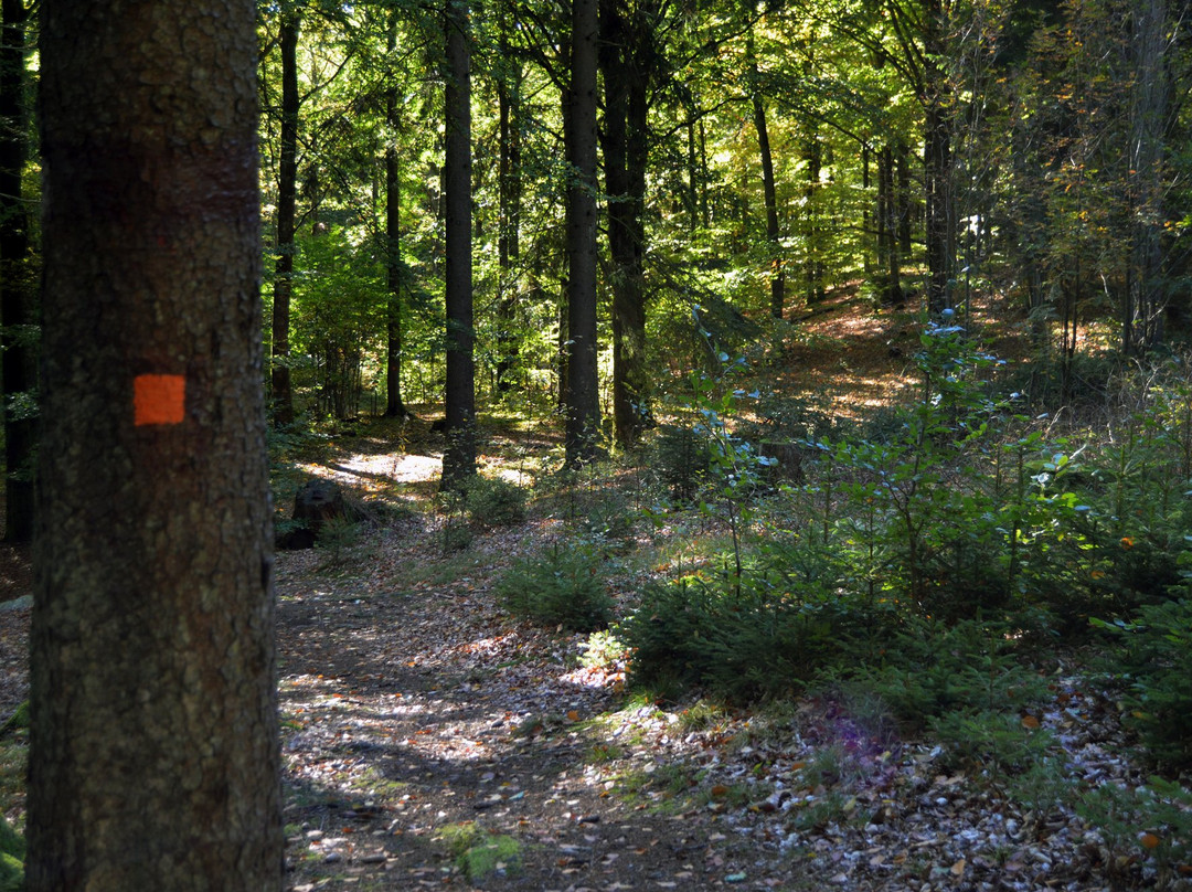 Larkesholm Hiking Trail-Orkelljunga必去景点