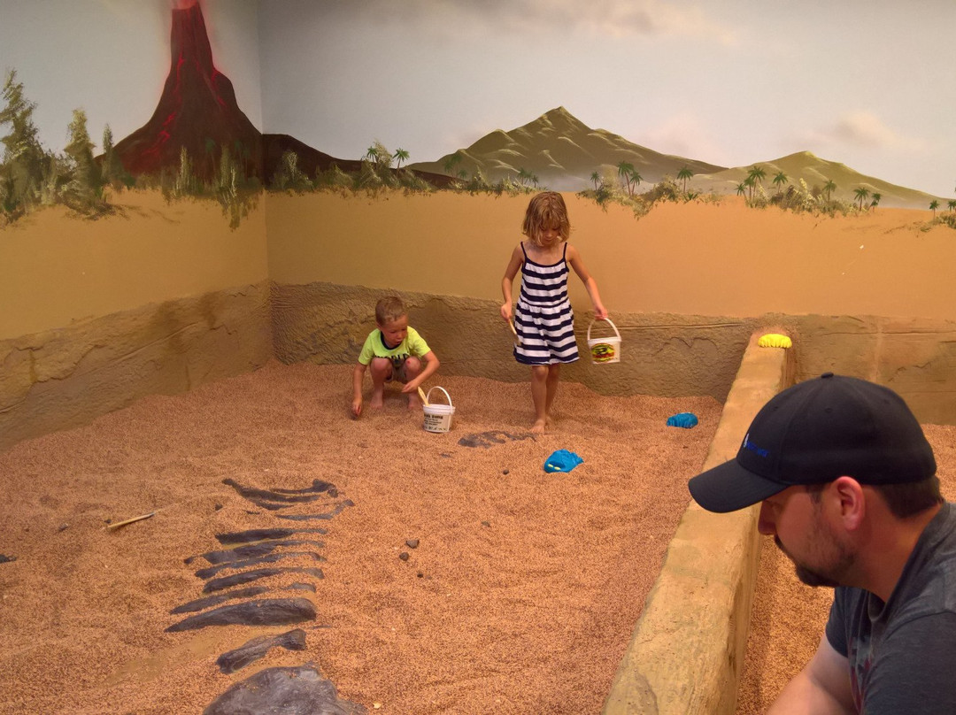Fossil World Discovery Museum景点图片