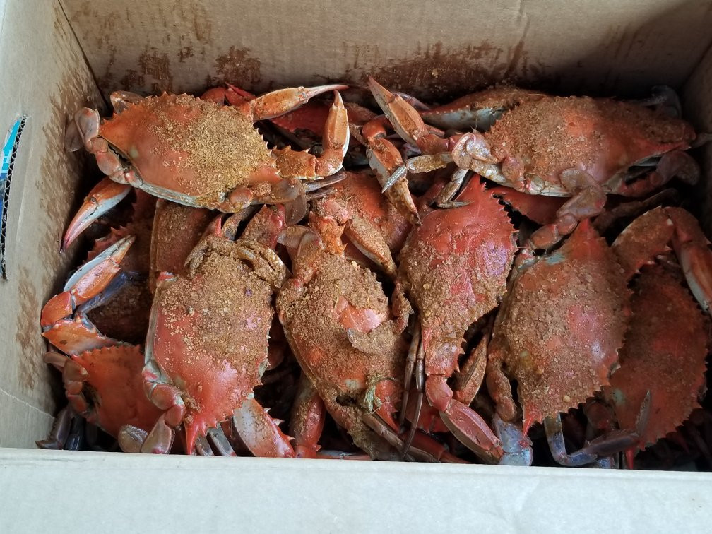 Surf's Up Seafood景点图片