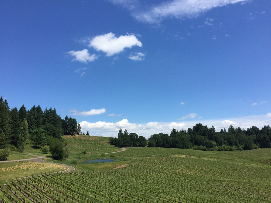 Elk Cove Vineyards-Gaston必去景点