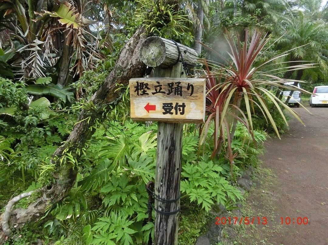 Hattori Mansion-八丈町必去景点
