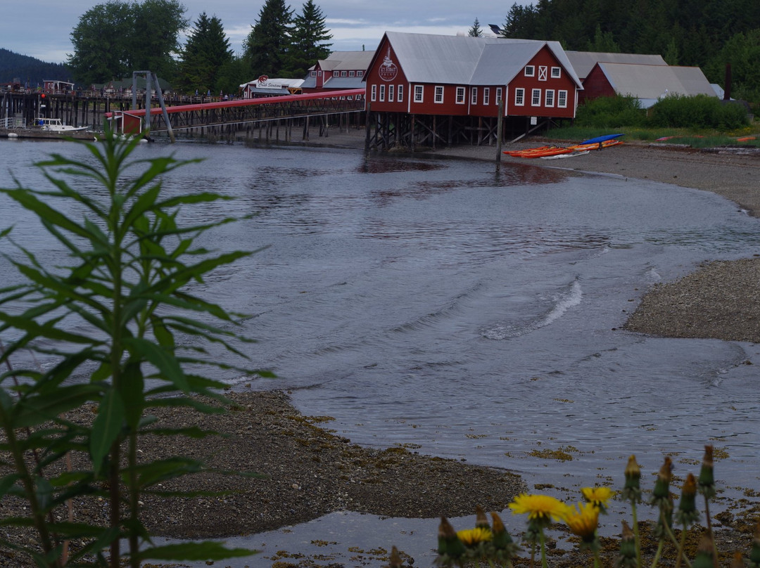 Chichagof Island-朱诺必去景点