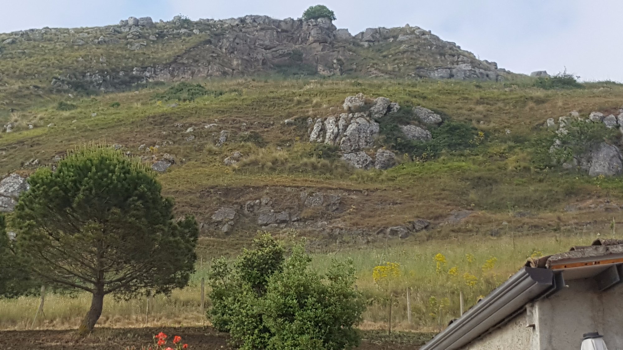 Bed and Breakfast Le Serre-酒店景观