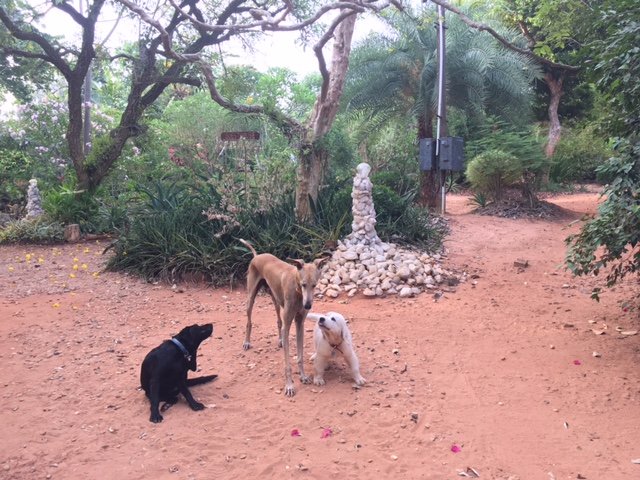 Gaia's Garden Guest House-官方