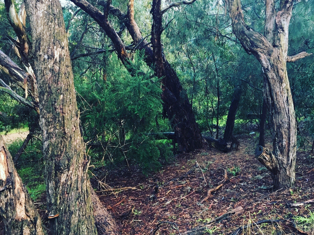 Damper Creek Reserve景点图片