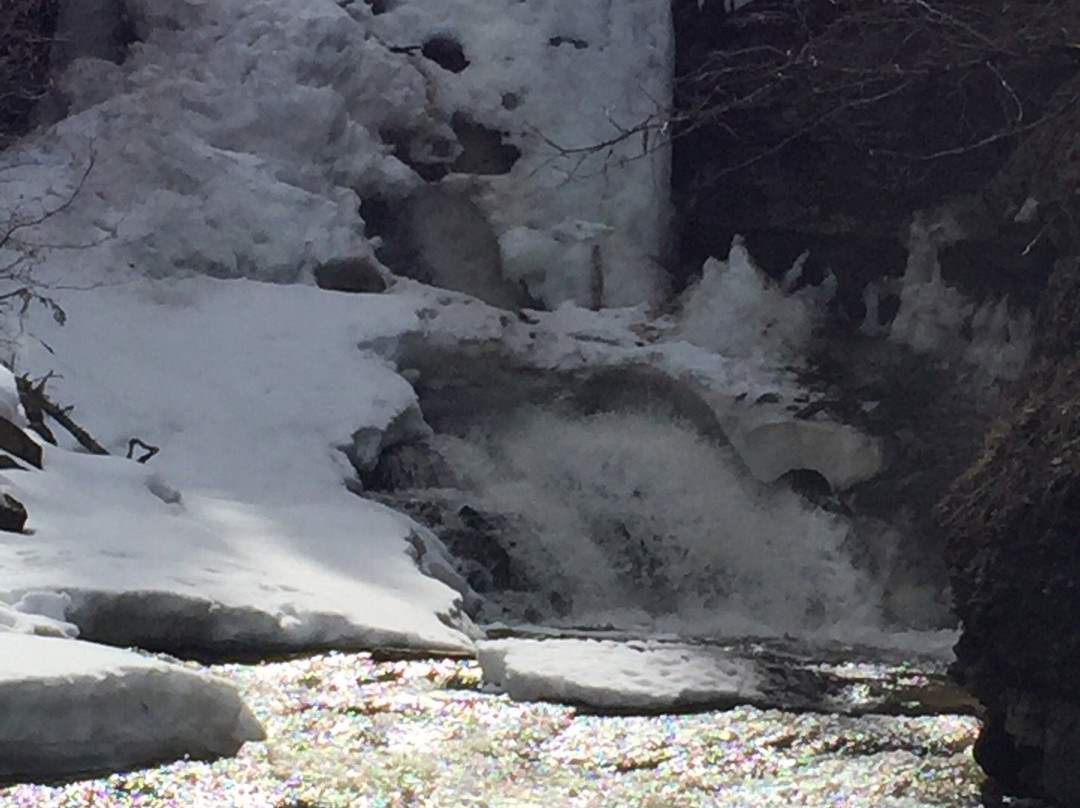 Quality Falls Hiking Trail-Tumbler Ridge必去景点