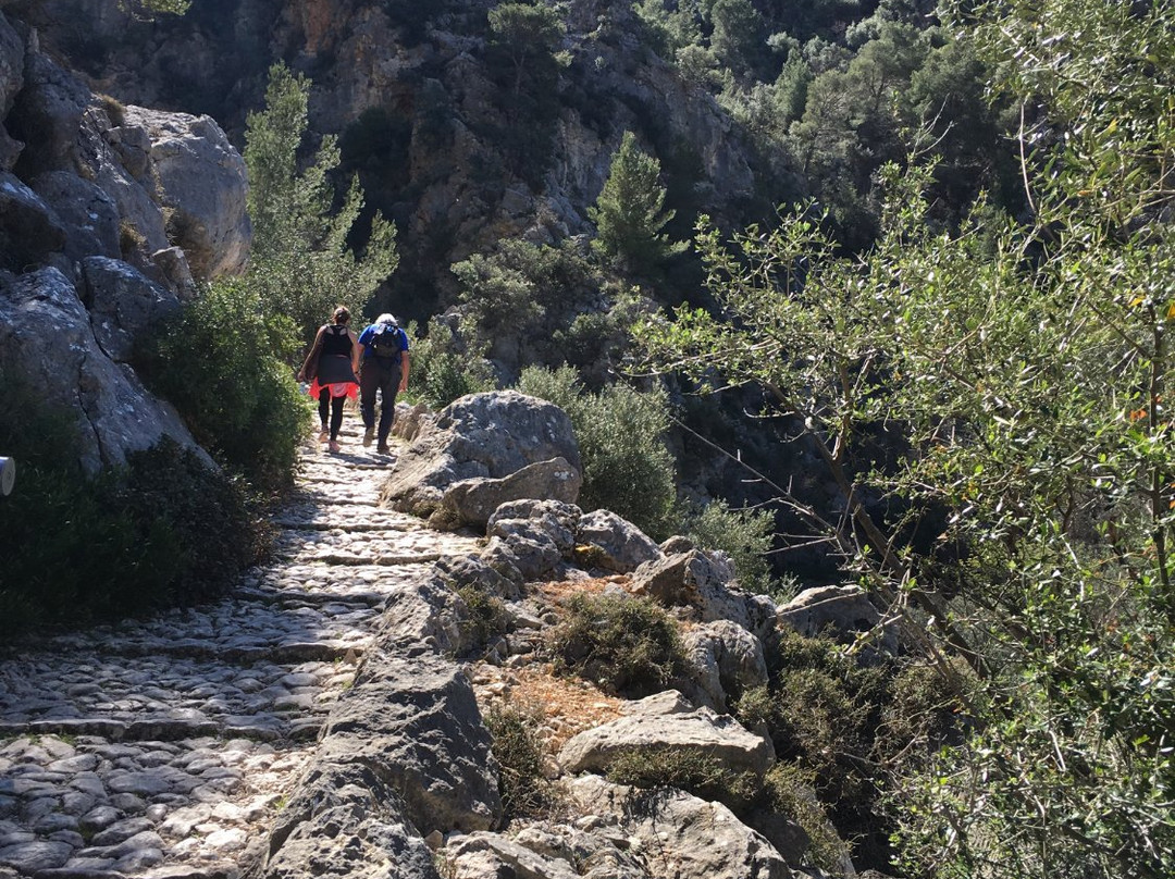Mimo Mallorca-圣塞瓦斯蒂安必去景点