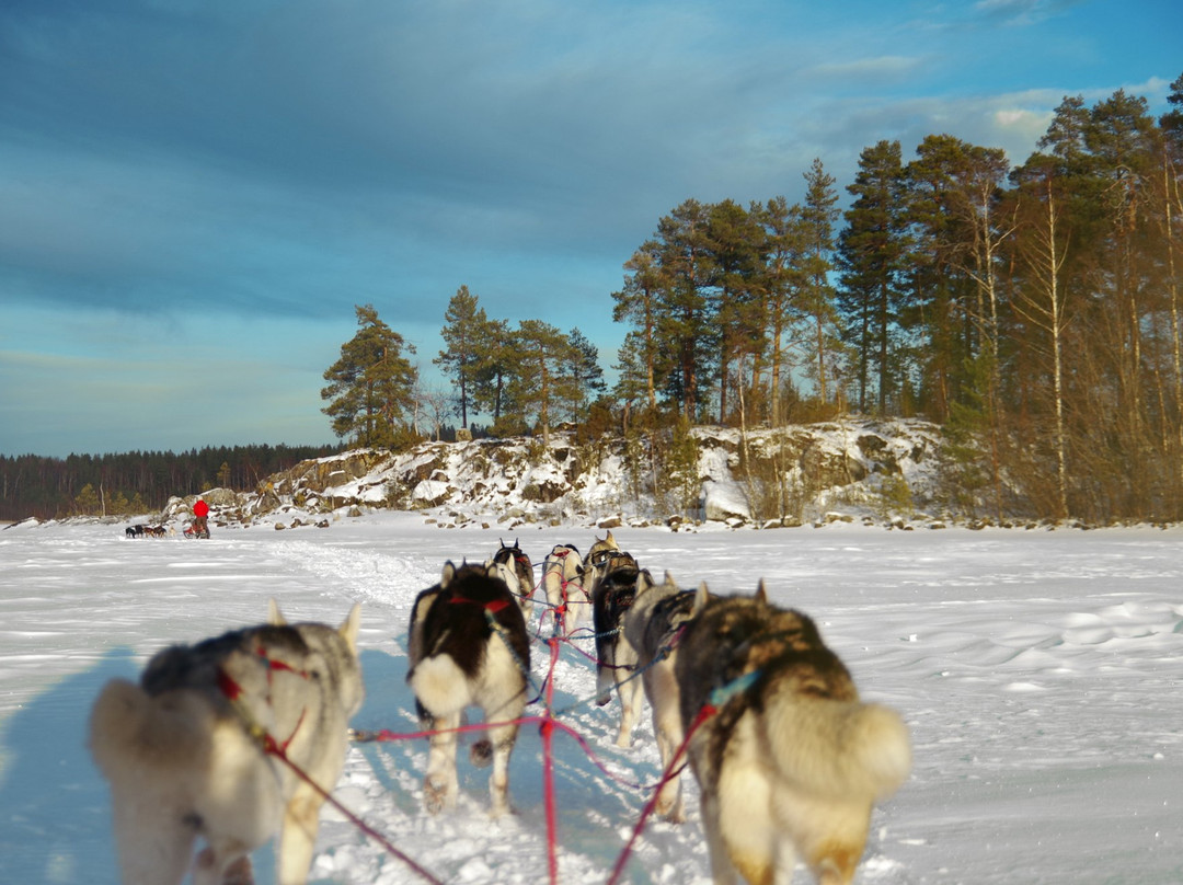 Nordic Husky Tour景点图片