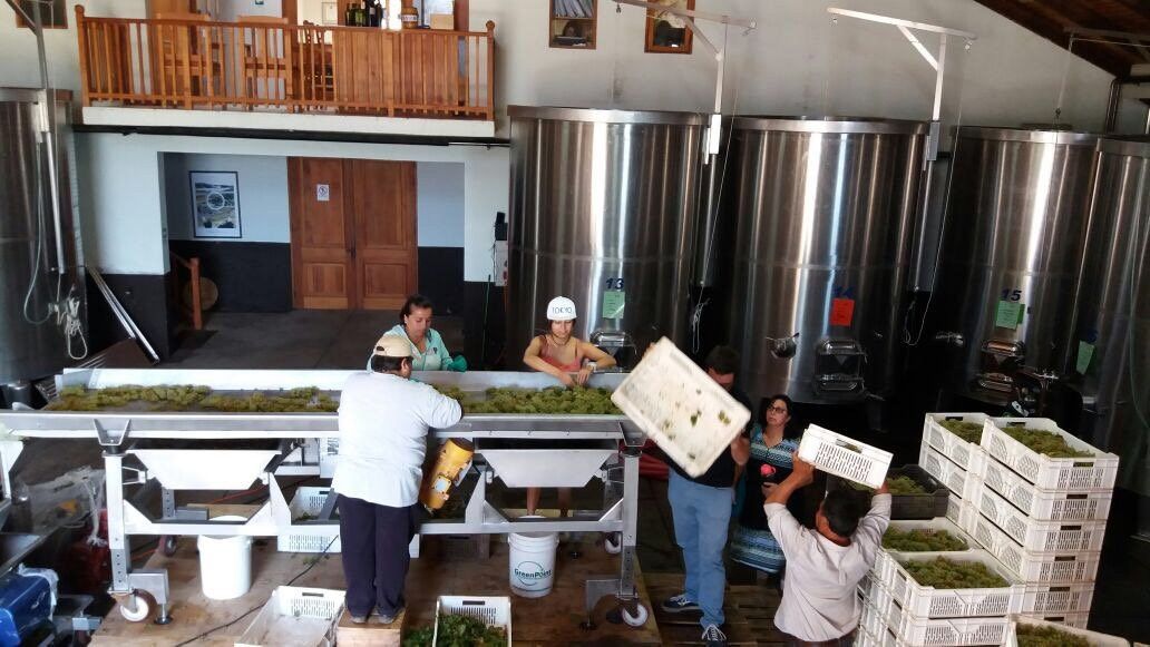 Viña Hacienda Araucano- François Lurton-Lolol必去景点