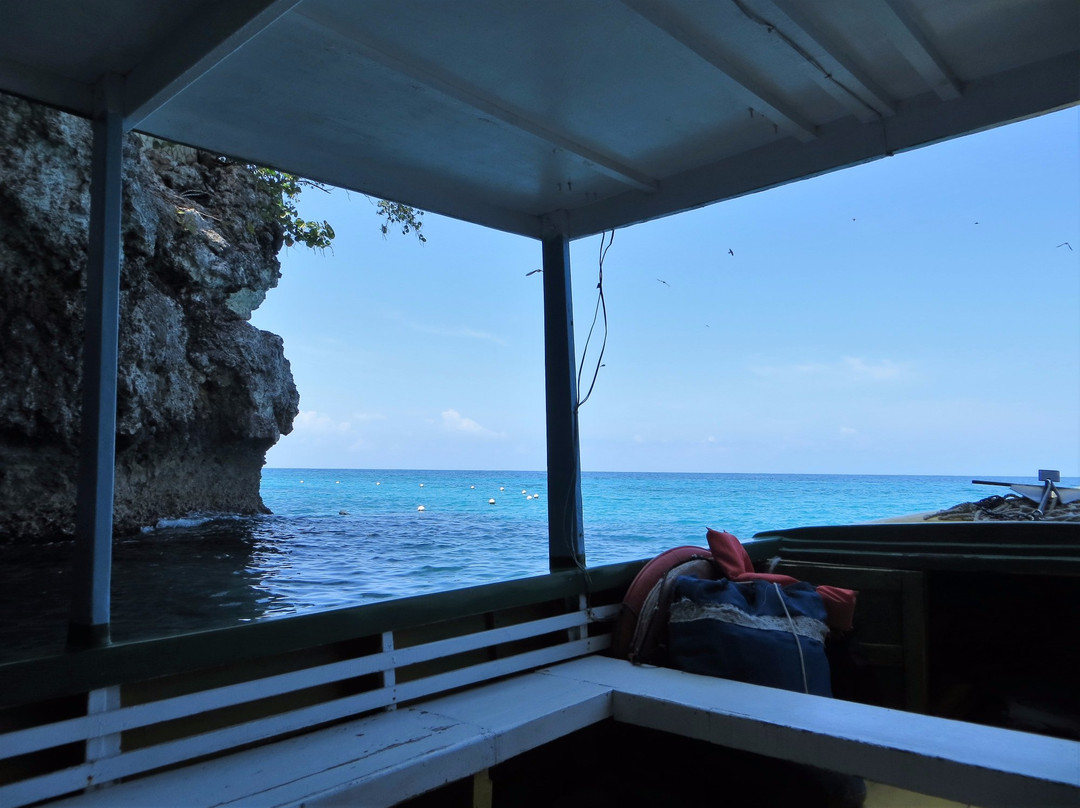 Mike's Glass Bottom Boat景点图片