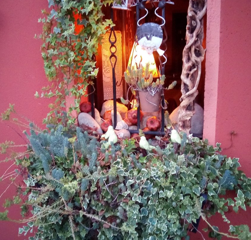 Acqualagna餐馆和美食-Hosteria del Castello