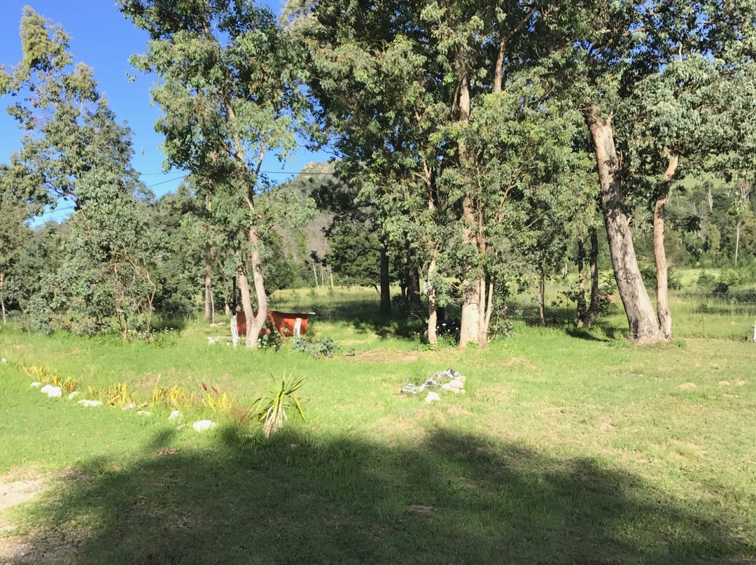 Gig Bed & Breakfast and Selfcatering主图