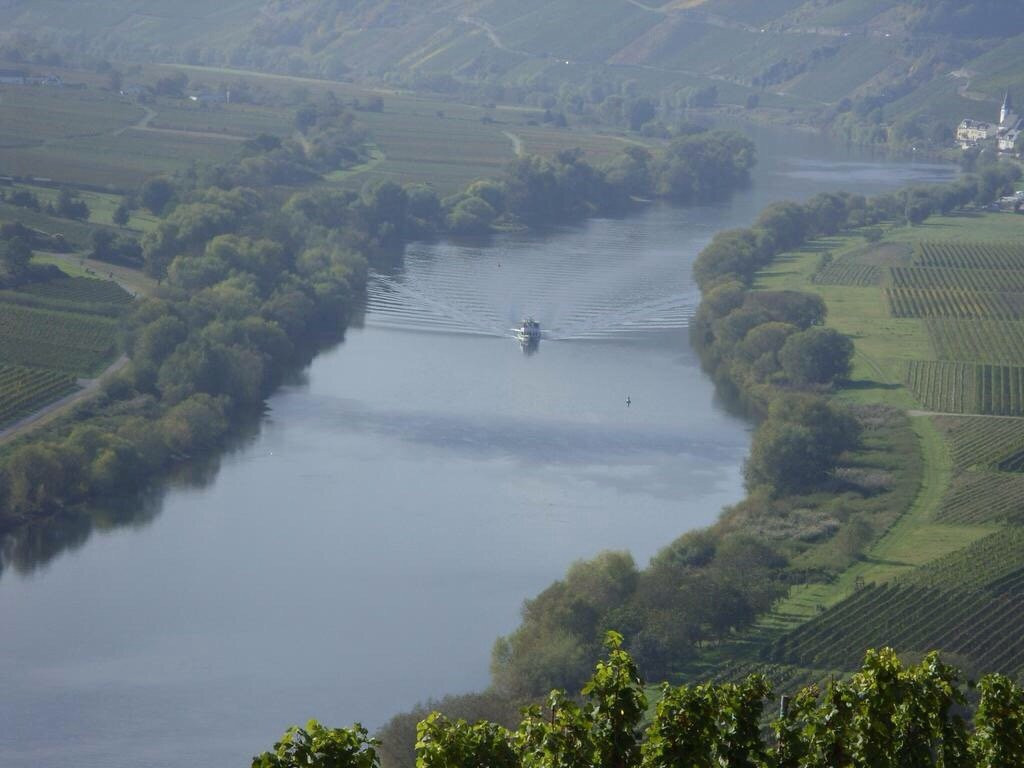 Brauneberg酒店住宿-Weingut Kranz-Junk