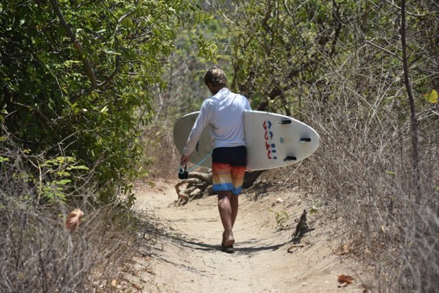 Nosara Tico Surf School景点图片
