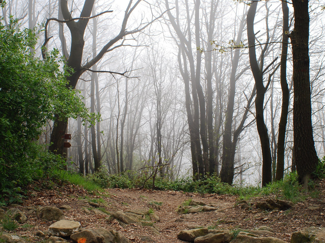 Pako Bike-拉斯佩齐亚必去景点