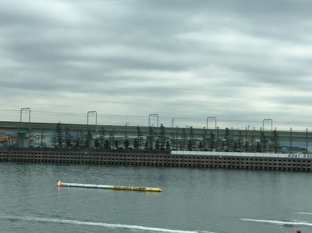 Boat Race Tokoname-常滑市必去景点