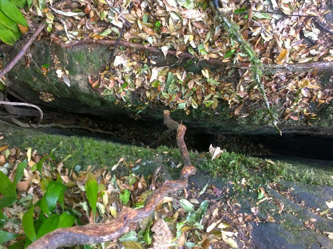 Meenuliyan Para-伊杜基必去景点