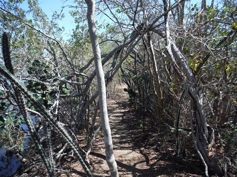 Estero Del Yugo-马萨特兰必去景点